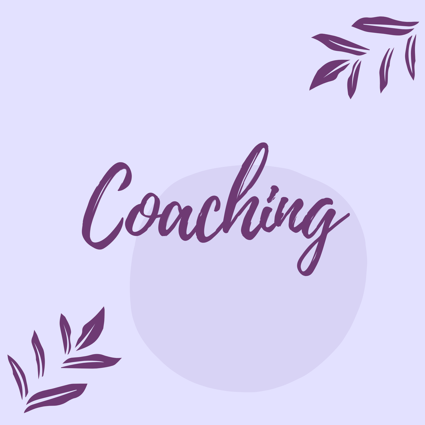 Coaching 1/2 Stunde