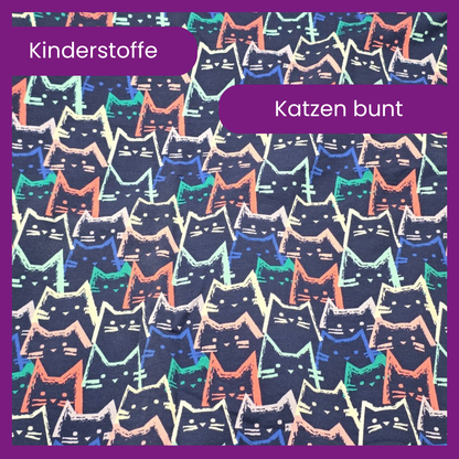 Katzen bunt FT