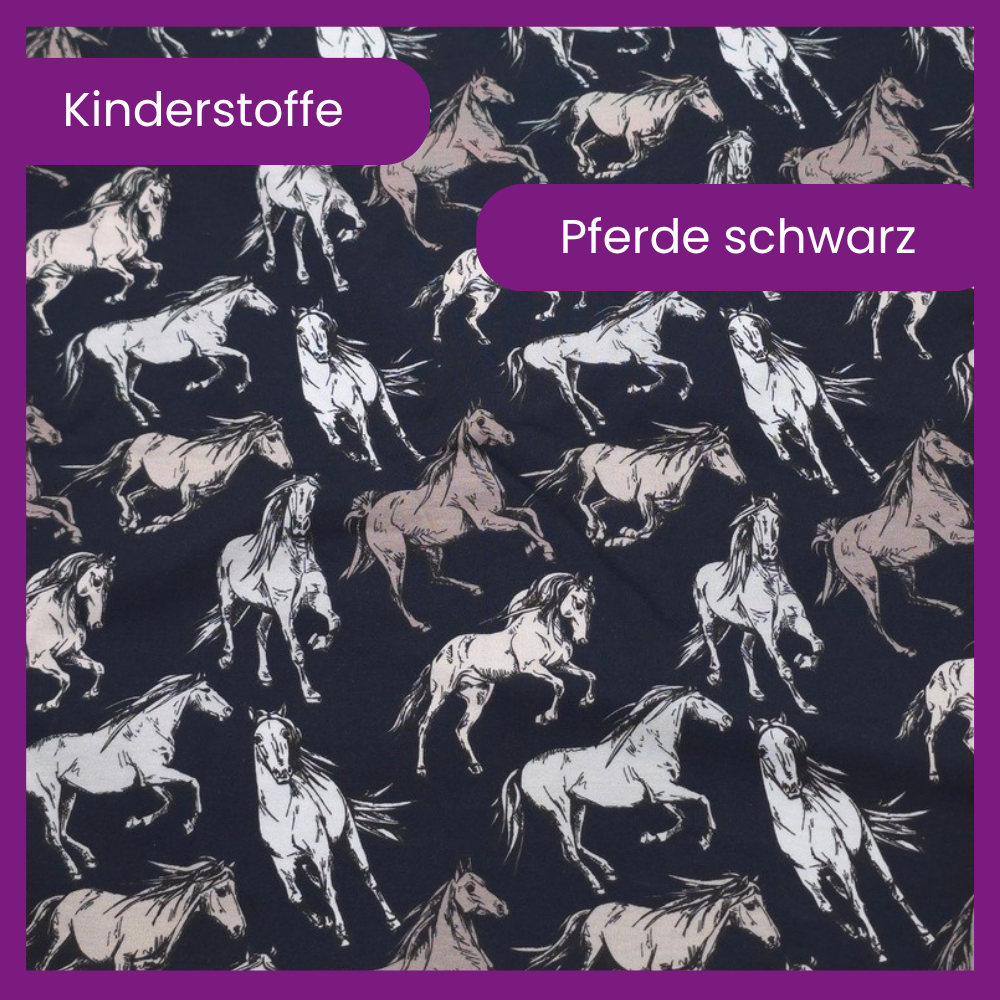 Pferde schwarz
